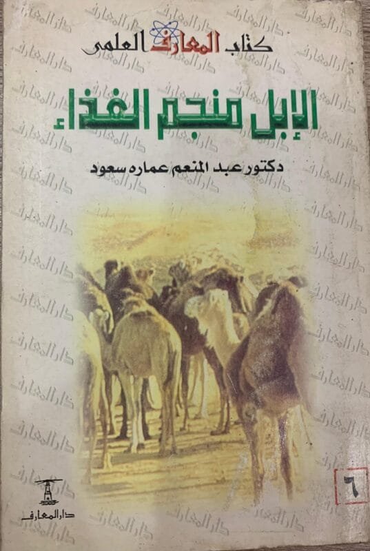 الابل منجم الغذاء