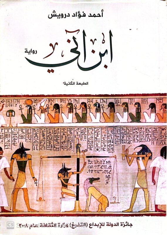 كتاب ابن اني للكاتب أحمد فواد درويش