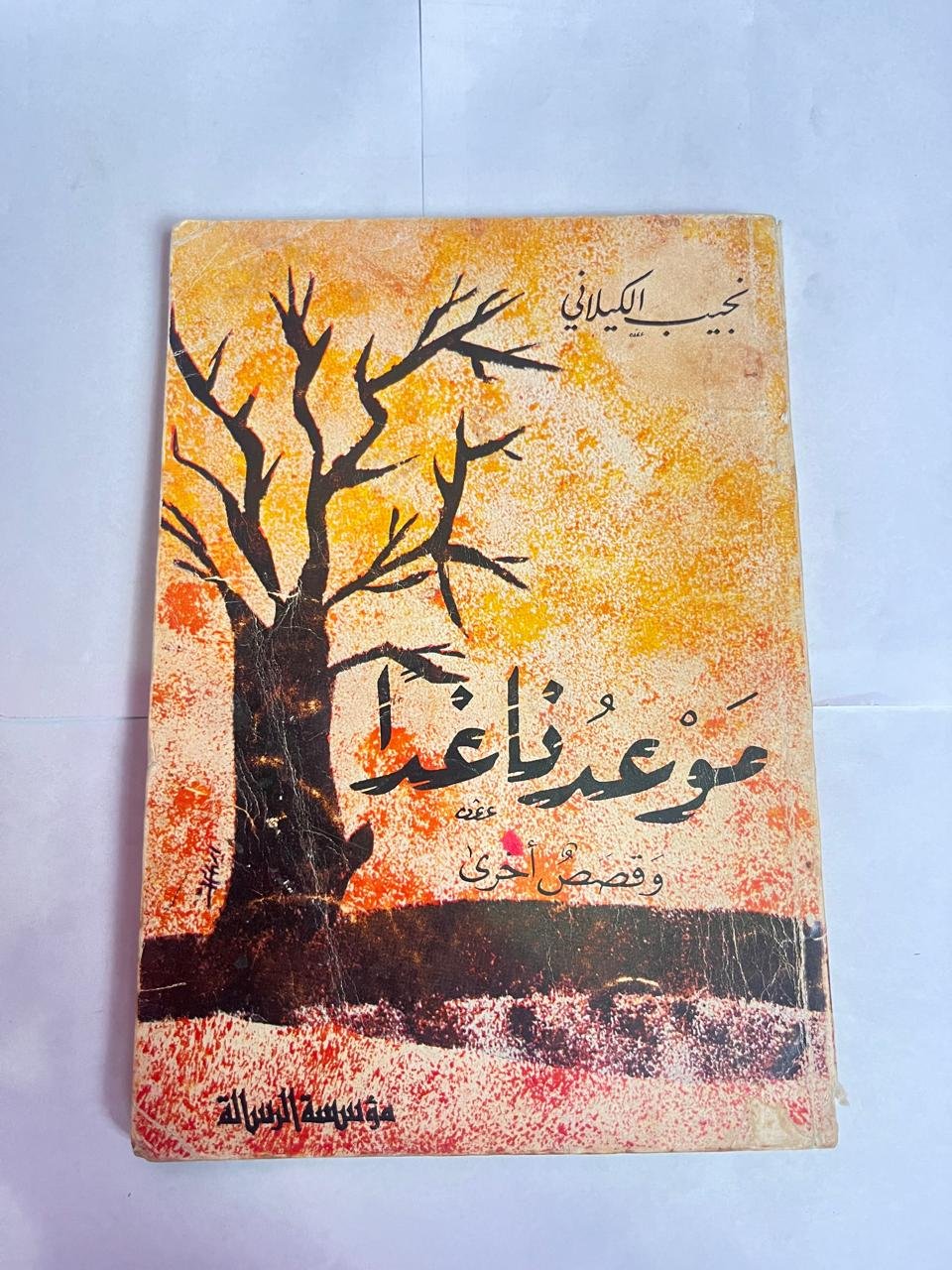 رواية موعدنا غدا للكاتب نجيب الكيلاني رواية موعدنا غدا للكاتب نجيب الكيلاني - الصورة 1